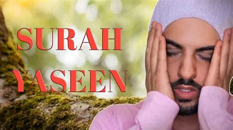 surah yaseen recitation